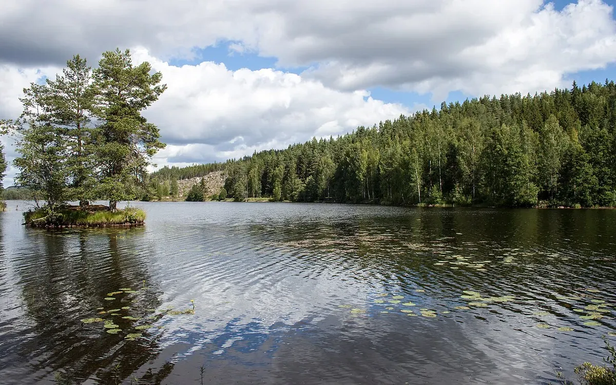 Foto från Dalarna