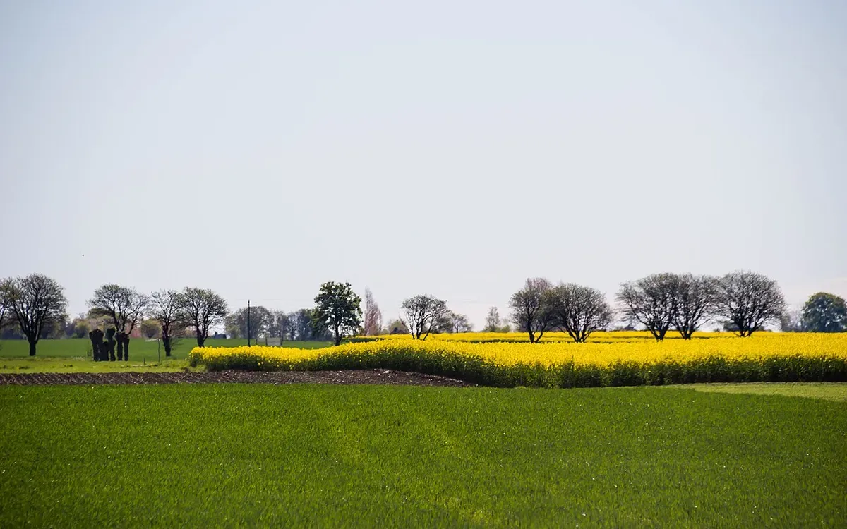 Foto från Skåne