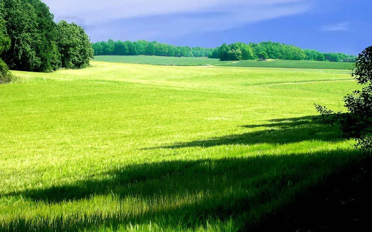 Foto från Södermanland