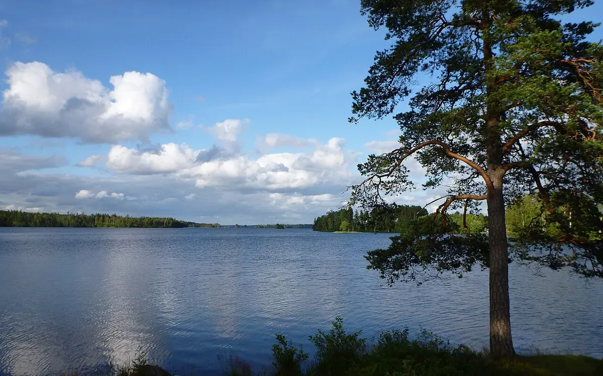 Foto från Fegen