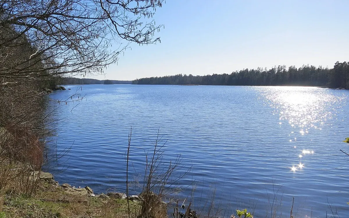 Foto från Immeln